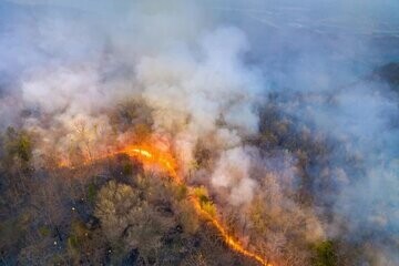 دود آتش‌سوزی‌های طبیعی، خطرناک و تهدیدکننده کیفیت هوا