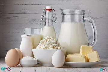 حذف لبنیات به بهانه سرد بودن مبنای علمی ندارد