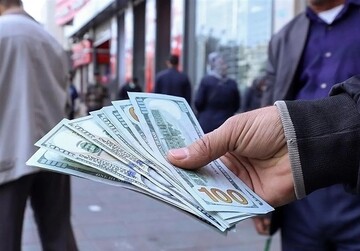 پخت و پز برای ارز تک‌نرخی