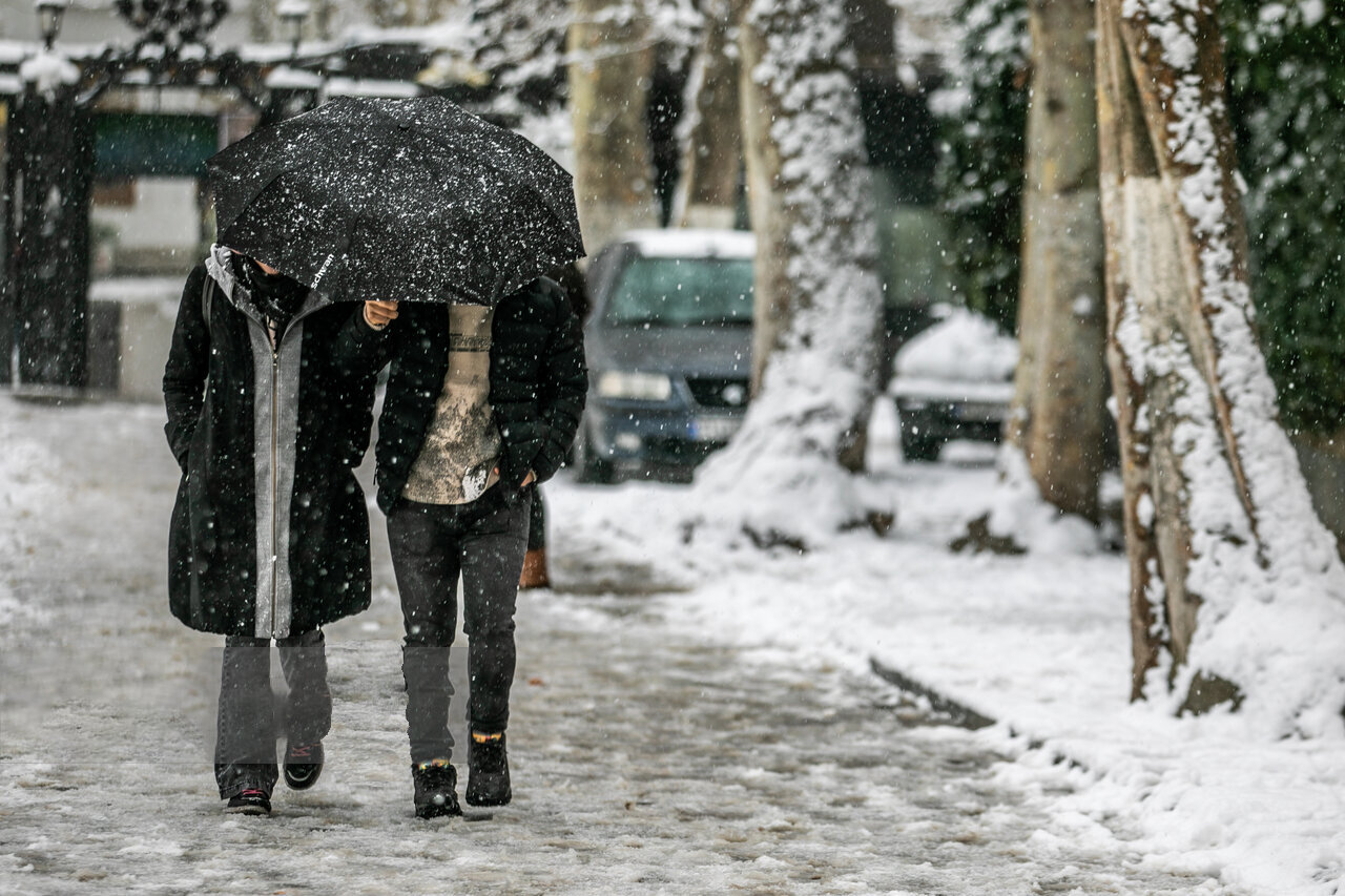 برف نو، سلام