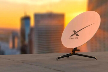 ۱۱ همت کشفیات در نتیجه گزارشات مردمی