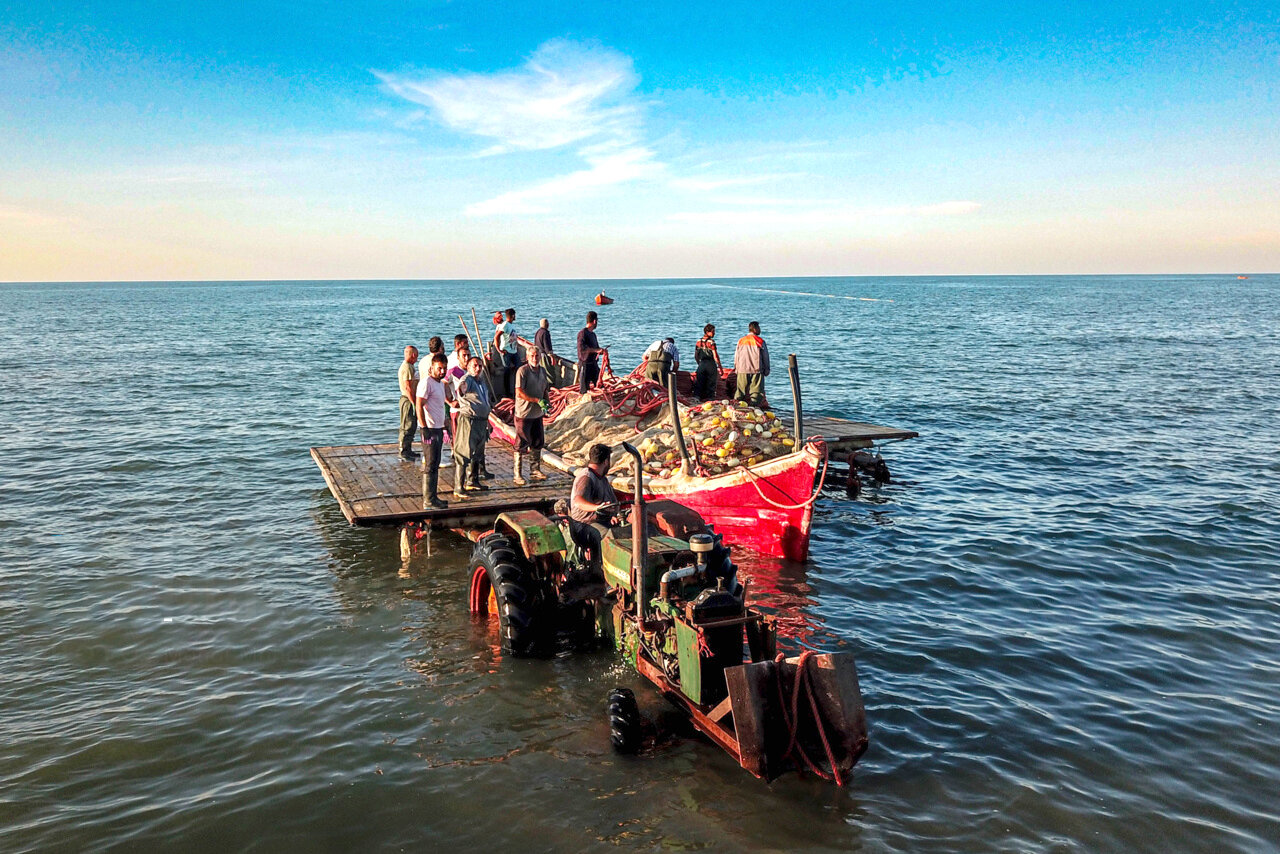 صید ماهی در خزر