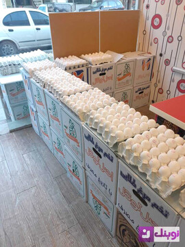 قیمت هر شانه تخم‌مرغ برای مصرف‌کننده ۳۱۰ تا ۳۲۰ هزار تومان