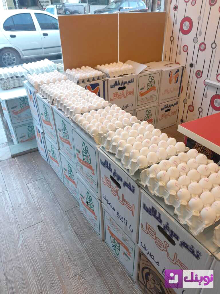 قیمت هر شانه تخم‌مرغ برای مصرف‌کننده ۳۱۰ تا ۳۲۰ هزار تومان