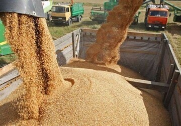 پاشنه آشیل ارزی ایران در جنگ اقتصادی
