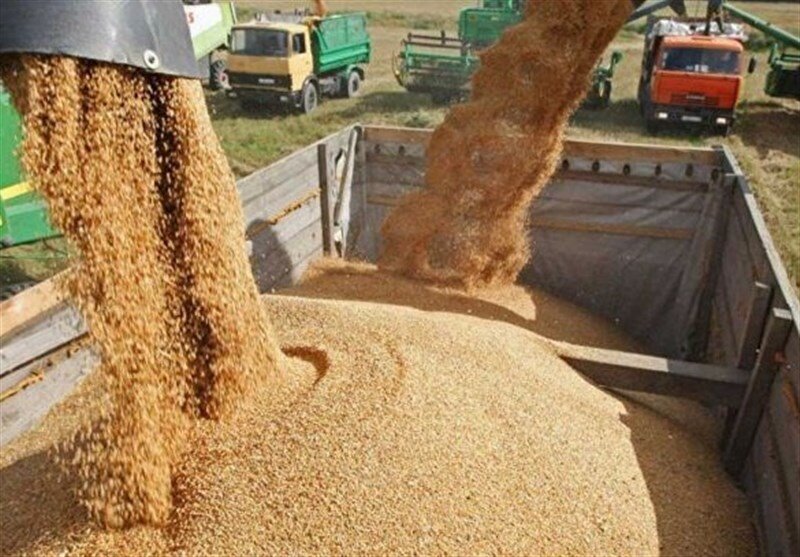 پاشنه آشیل ارزی ایران در جنگ اقتصادی