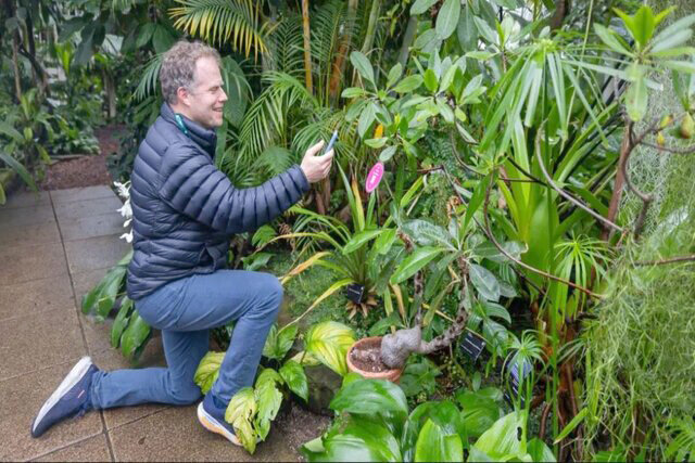 گفت‌وگو با گیاهان با کمک هوش مصنوعی