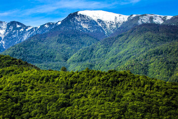 طرح مدیریت جنگل‌های هیرکانی؛ یک قدم تا اجرا