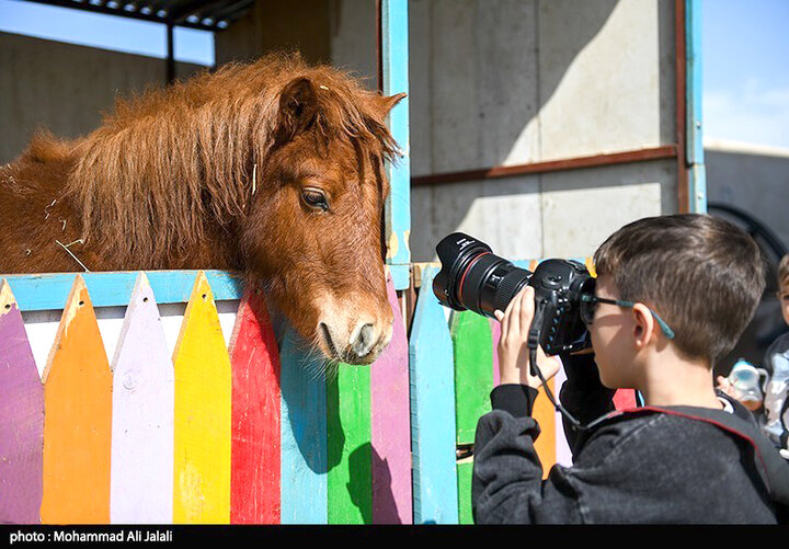 مسابقات منطقه‌ای پرش با اسب در قم
