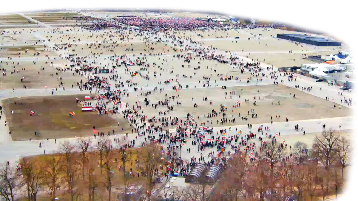 کوه، موش زایید