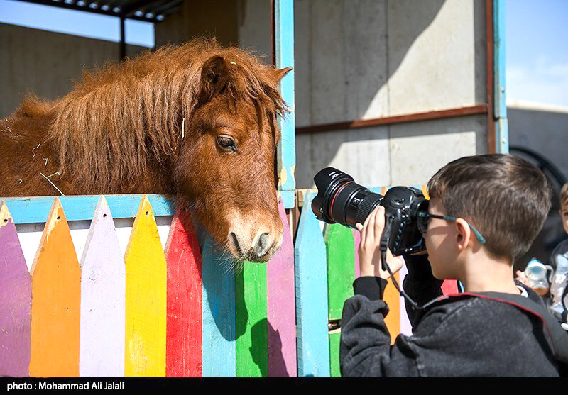 مسابقات منطقه‌ای پرش با اسب در قم