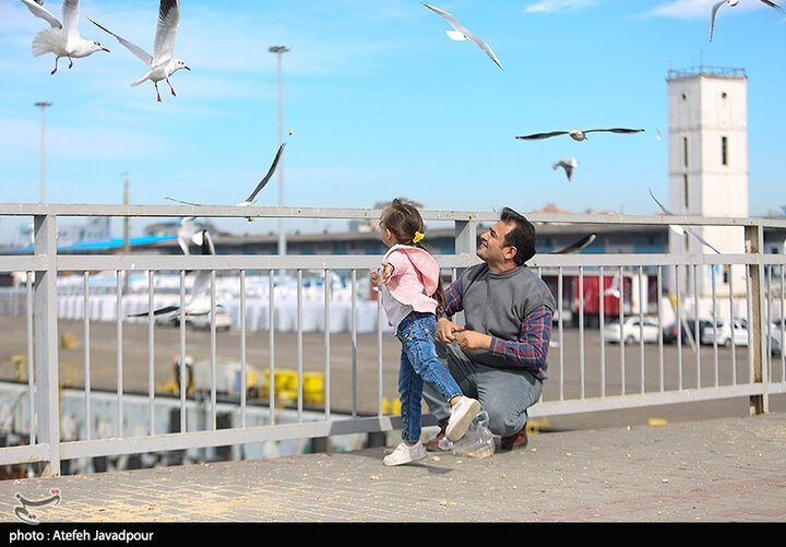 ضیافتی برای مهمانان مهاجر بندر انزلی