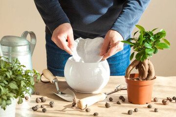 فیلتر قهوه، قهرمان پنهان گیاهان آپارتمانی!