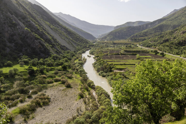 جلوه‌های بهاری در مشایخ