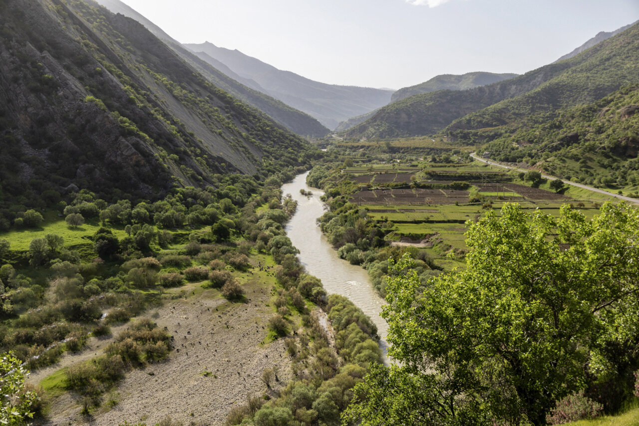 جلوه‌های بهاری در مشایخ