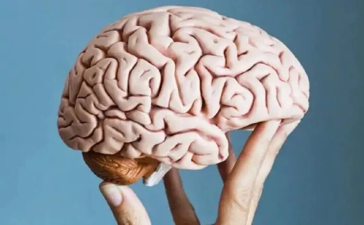عادت‌هایی که فرآیند پیری مغز را تسریع می‌کنند