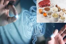 تاثیر شگفت‌آور یک ماده موجود در غذاهای پروتئینی بر ترمیم روده