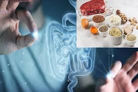 تاثیر شگفت‌آور یک ماده موجود در غذاهای پروتئینی بر ترمیم روده