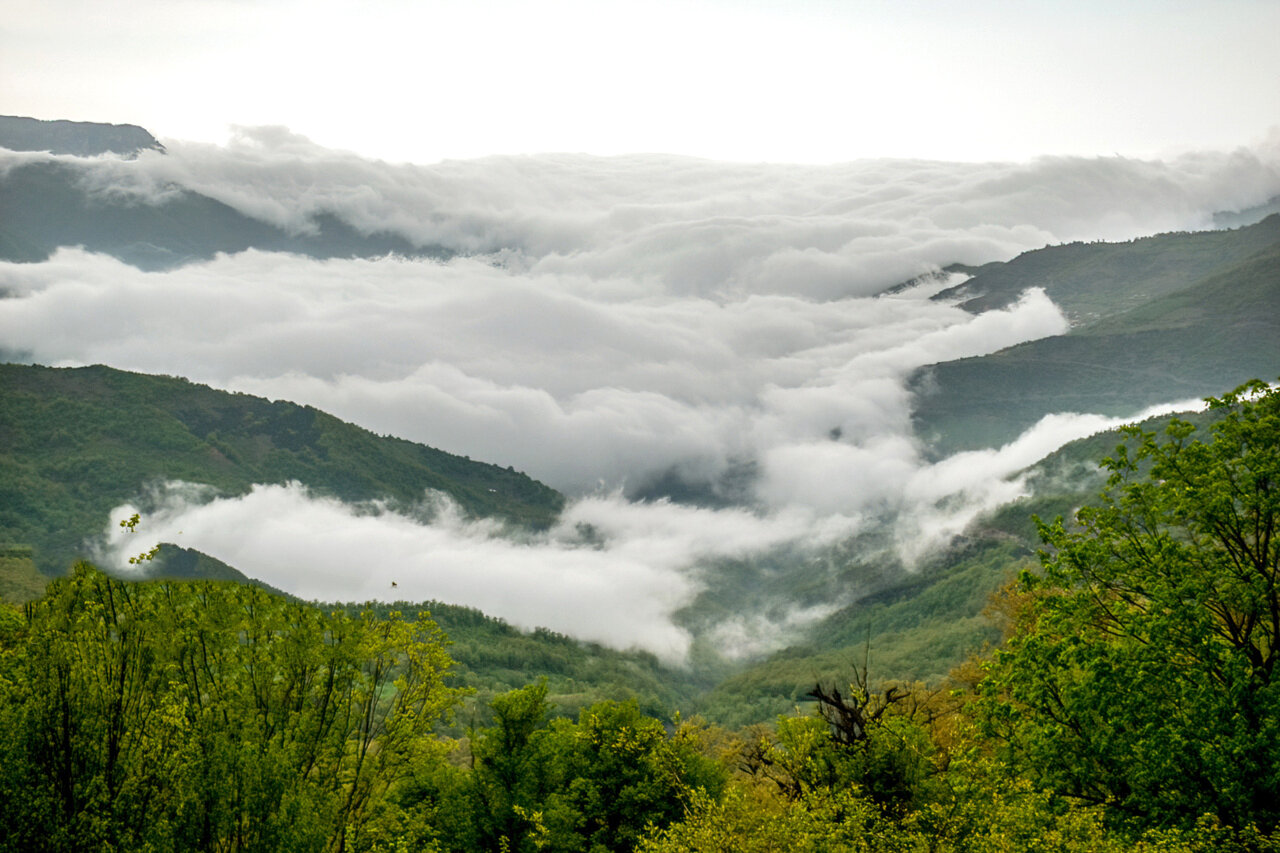 طبیعت بهاری گلستان