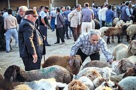 قیمت دام زنده در آستانه عید قربان اعلام می‌شود
