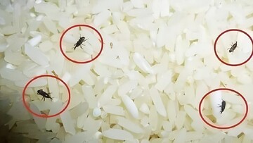 هفت راز ساده اما حرفه‌ای