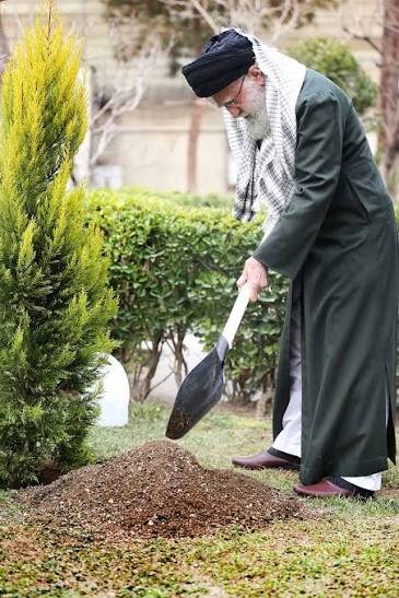 حامی سبز ایران