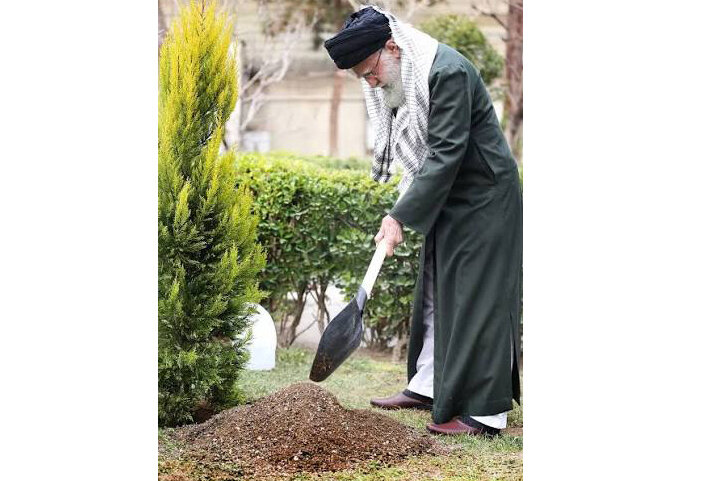 حامی سبز ایران