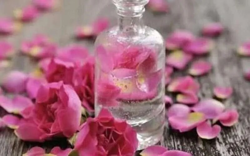 گلاب؛ از گل محمدی تا ترکیبات موثر دارویی