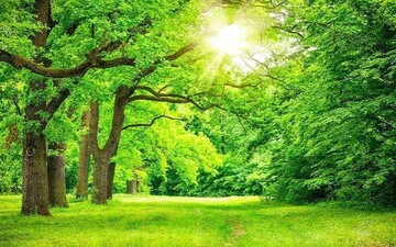 گرما همیشه بد نیست؛ پنج فایده مهم تابستان و گرمای آن