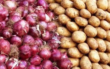 همسایگی خطرناک سیب‌زمینی و پیاز