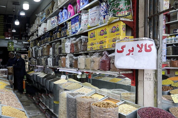 کالابرگ ،قربانی بدحسابی!