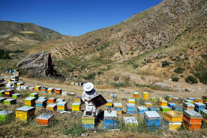 رسوب منابع بانکی؛ گره پنهان توسعه ملی و روستایی