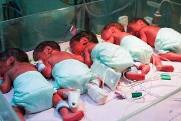 جزییات هزینه اعزام «پرستار کودک» به خانه چندقلوها