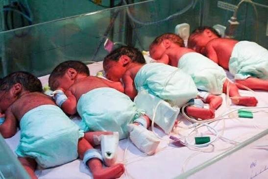 جزییات هزینه اعزام «پرستار کودک» به خانه چندقلوها