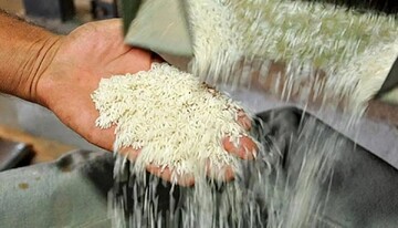 واردات بدون نظارت رسمی