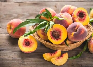 نکاتی که باید رعایت کنید