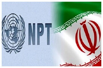 ان‌پی‌تی یعنی کشک