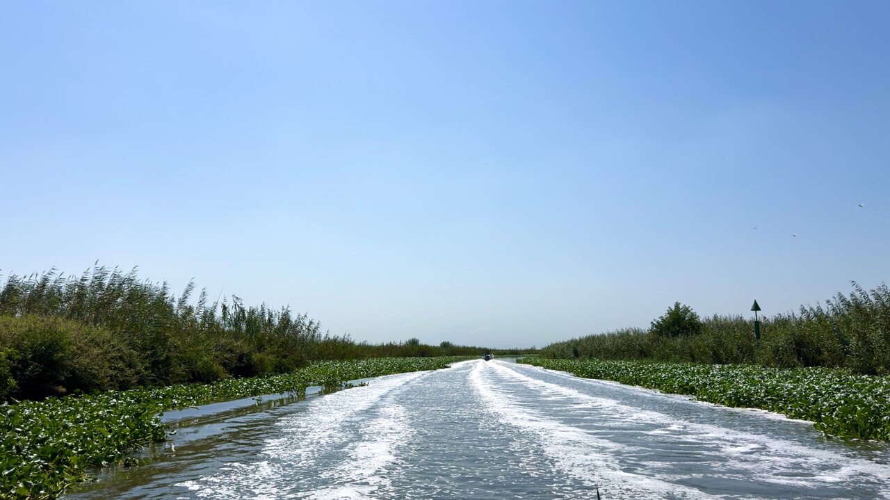 ساحل، تالاب و تندرستی به هم می‌رسند