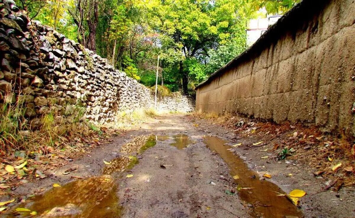 بوی خاک نم‌خورده، آرامش‌بخش است