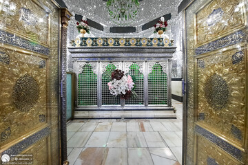 سیدِ کریم