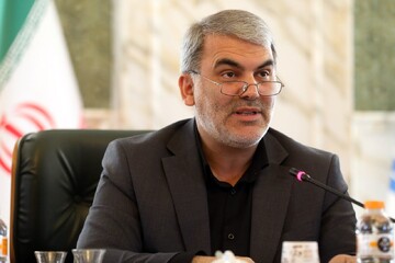 عرضه ۱۰ هزار دلار به هر کارت ملی؛ سیاست غیر قابل دفاع