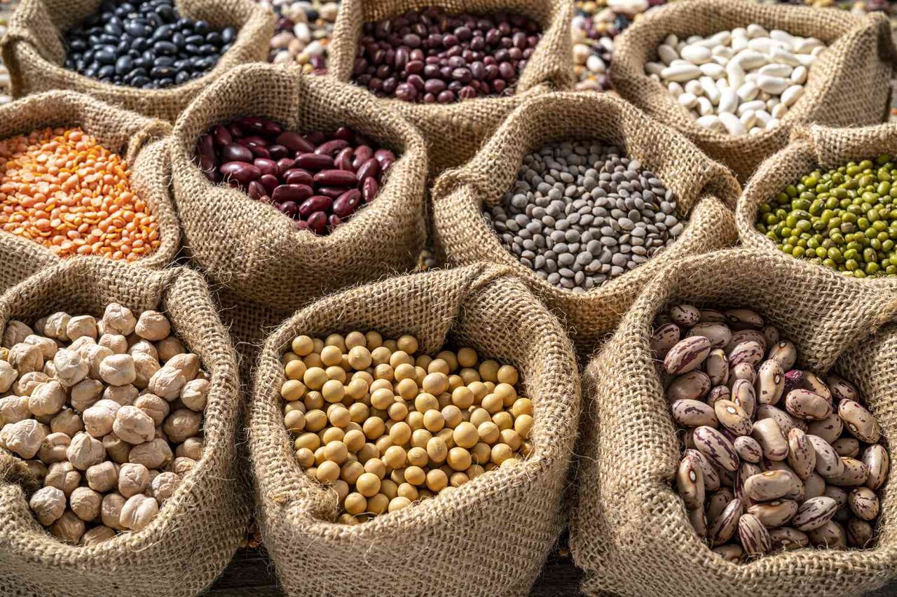 ارتباط مصرف حبوبات با کاهش شیوع بیماری‌های قلبی