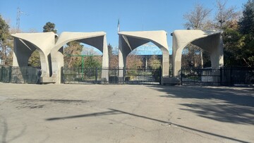 دانشگاه ثروت‌آفرین؛ پیشران پیشرفت اقتصادی